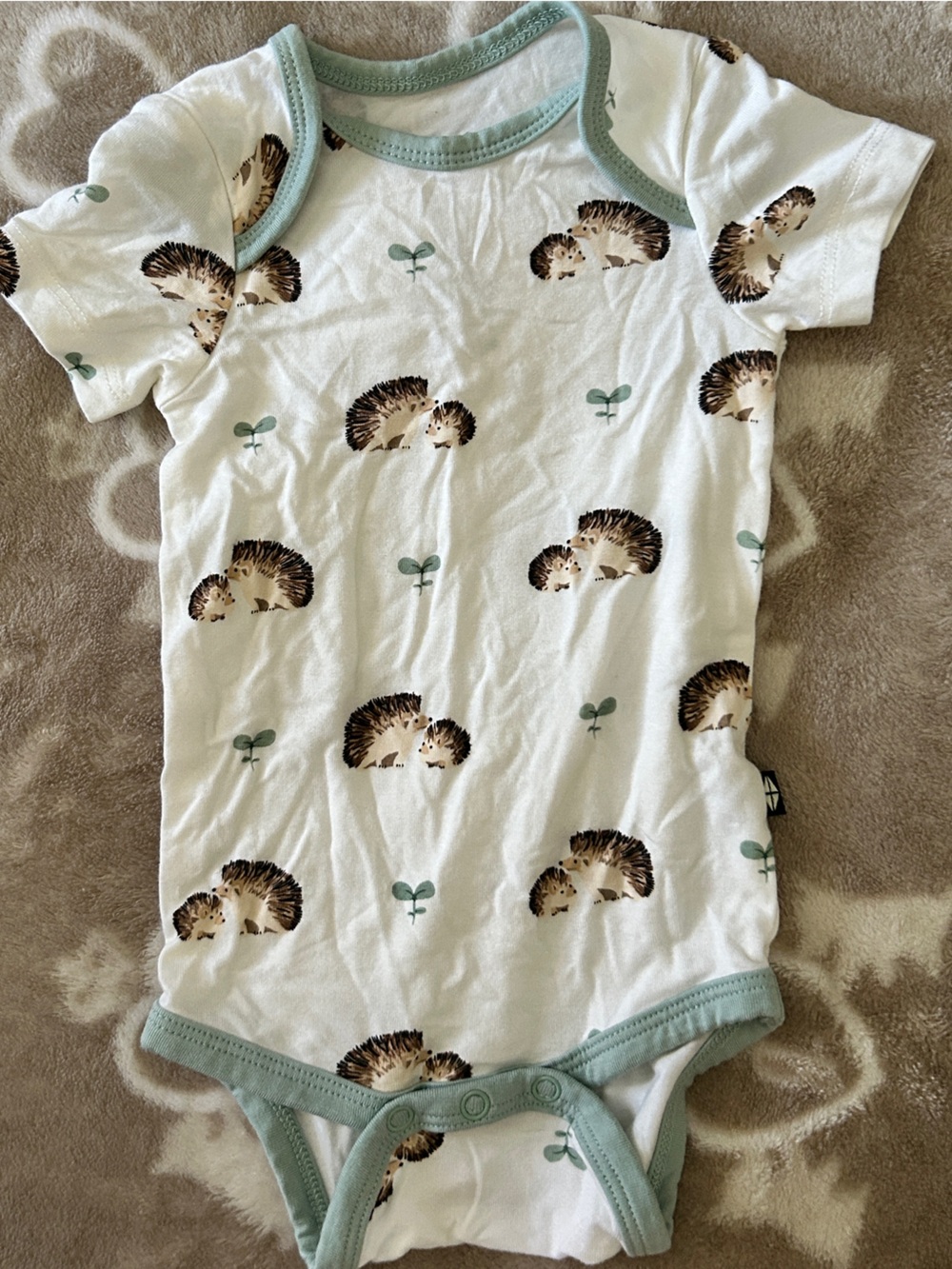 Kyte baby hedgehog onesie